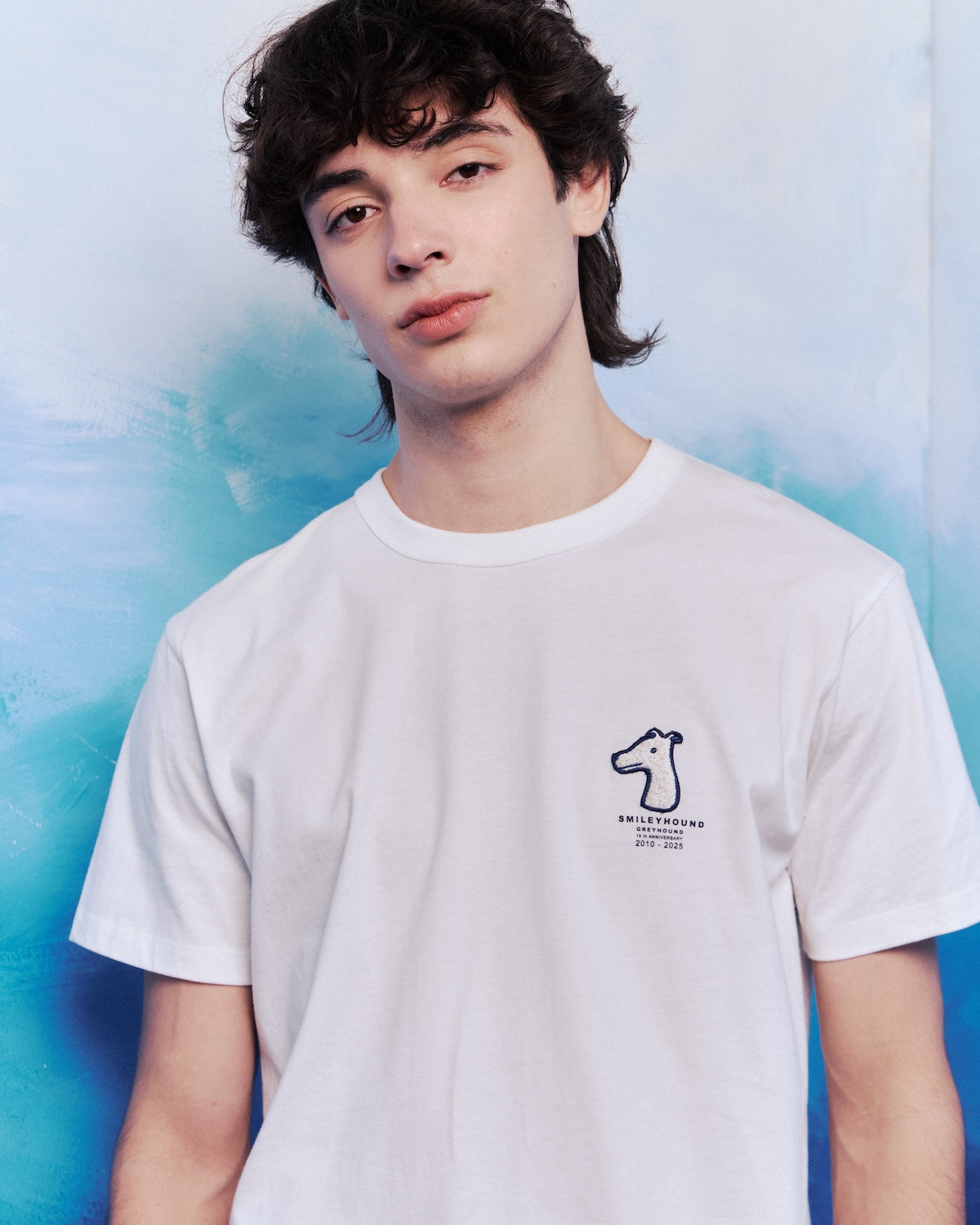 15TH ANNIVERSARY REGULAR T-SHIRT WITH MIXED LOGOS EMBROIDERED