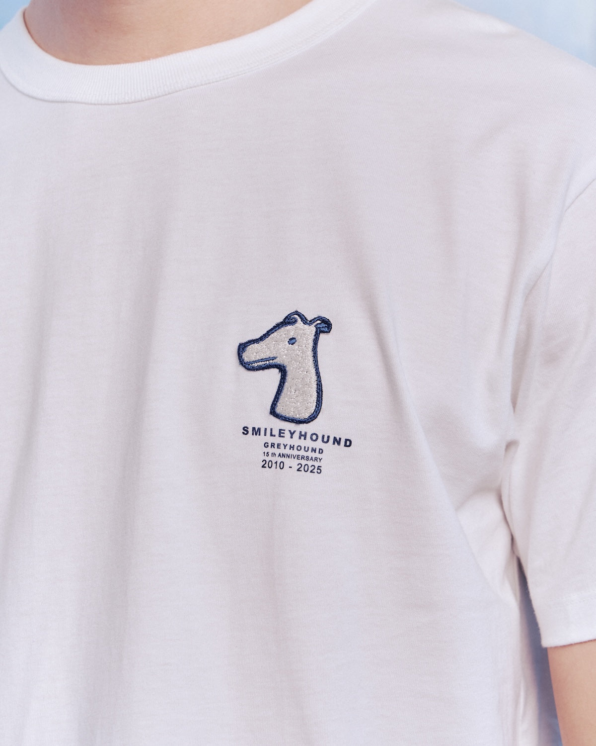 15TH ANNIVERSARY REGULAR T-SHIRT WITH MIXED LOGOS EMBROIDERED