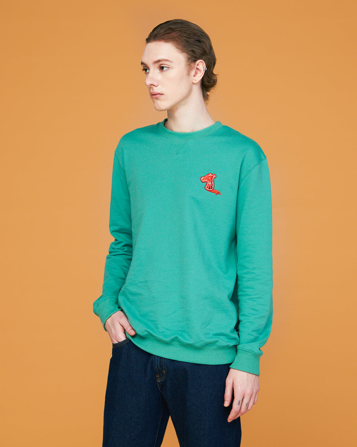 "COLOUR FRUITS" SWEATSHIRT