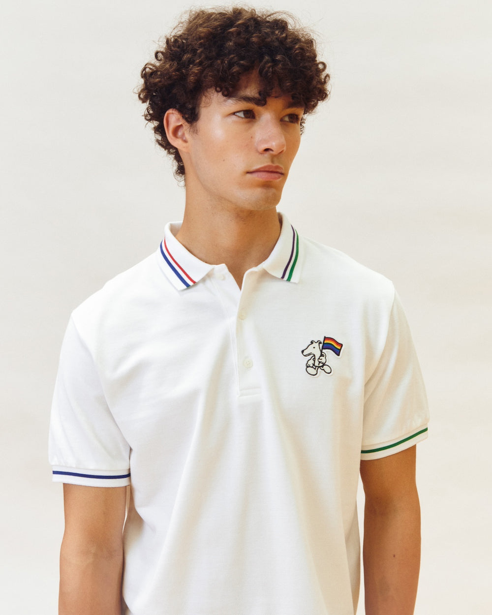 STRIPE COLLAR POLO SHIRT WITH LOGO EMBROIDERED – HOUND FOR ALL EDITION