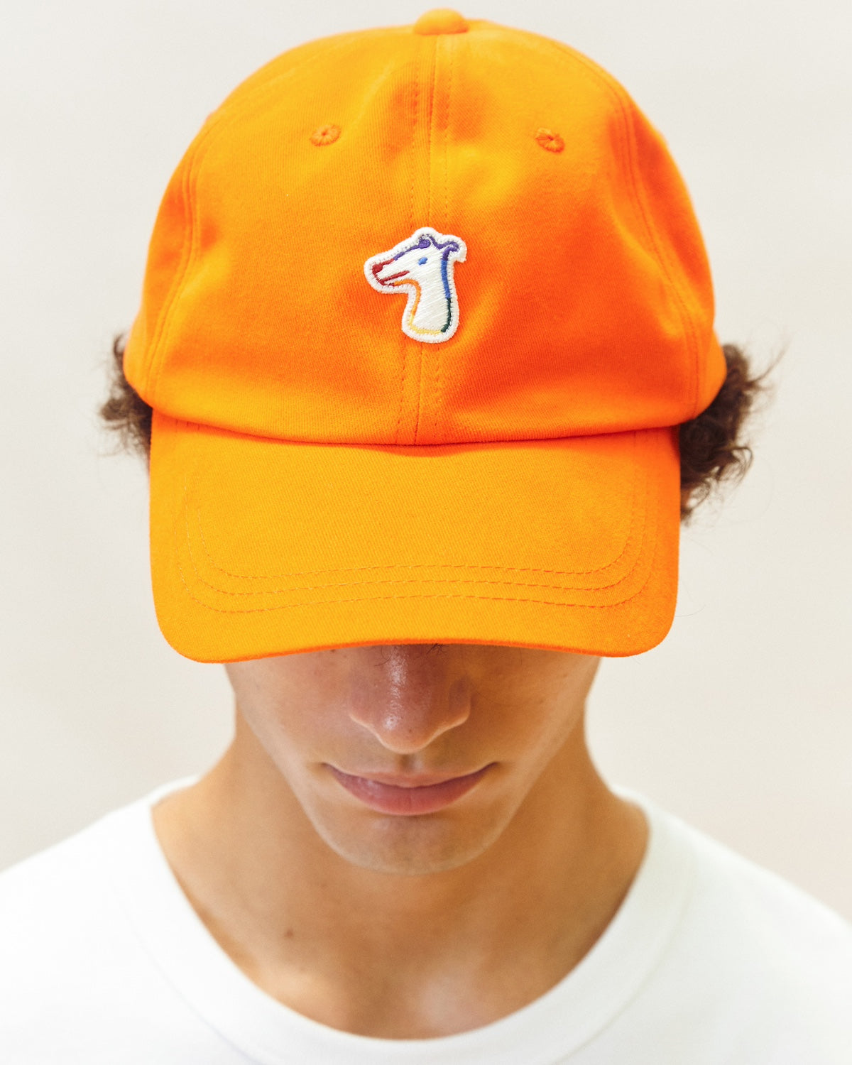 COTTON TWILL CAP WITH LOGO EMBROIDERED – HOUND FOR ALL EDITION