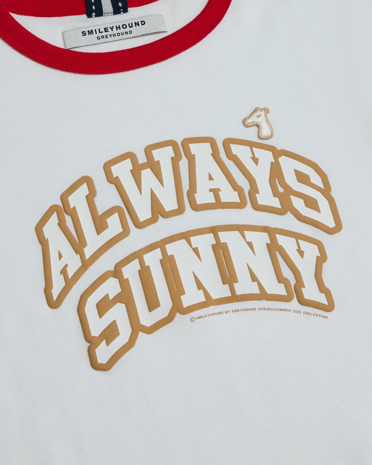 ALWAYS SUNNY RINGER T-SHIRT